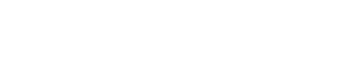 Nordecon logo white RGB 2